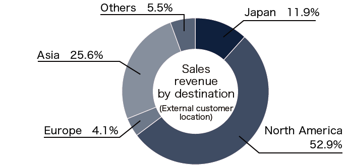Sales revenue by destination (External customer location) graph