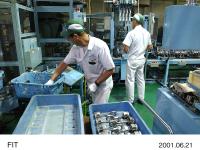 Engine Assembly Process (2)