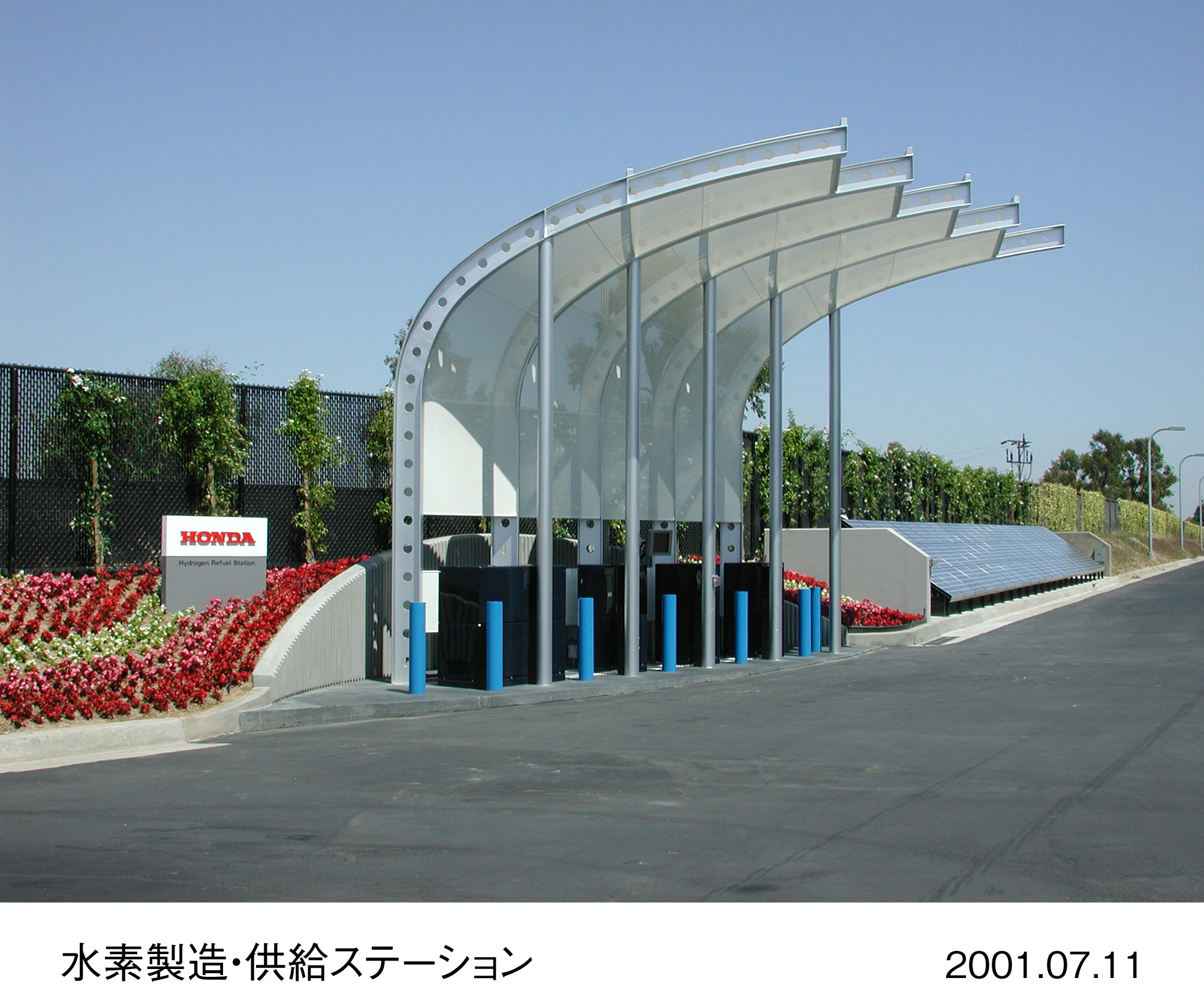 Image・Movie Download