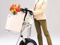 Riding Cart with Model