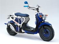 ZOOMER (Customized model with dress-up parts&special paint) A