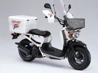 ZOOMER (Customized model with dress-up parts&special paint) B