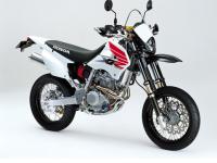 XR250 Custom (Customized model with dress-up parts&special paint)