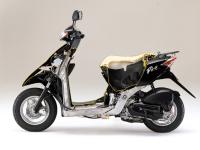 Smart Dio Cutaway Model