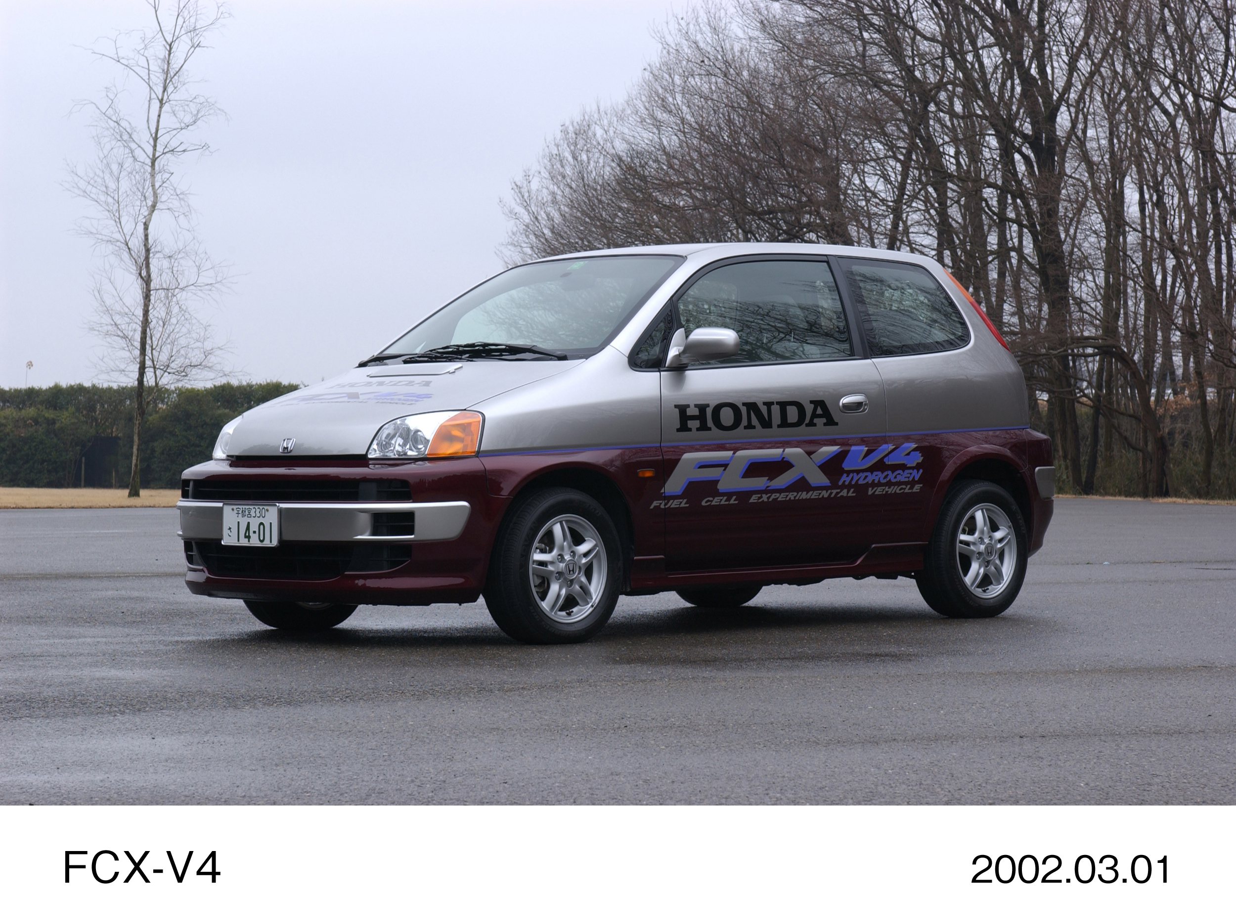 Image・Movie Download