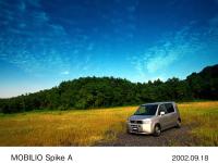 Satin silver A type (with options)