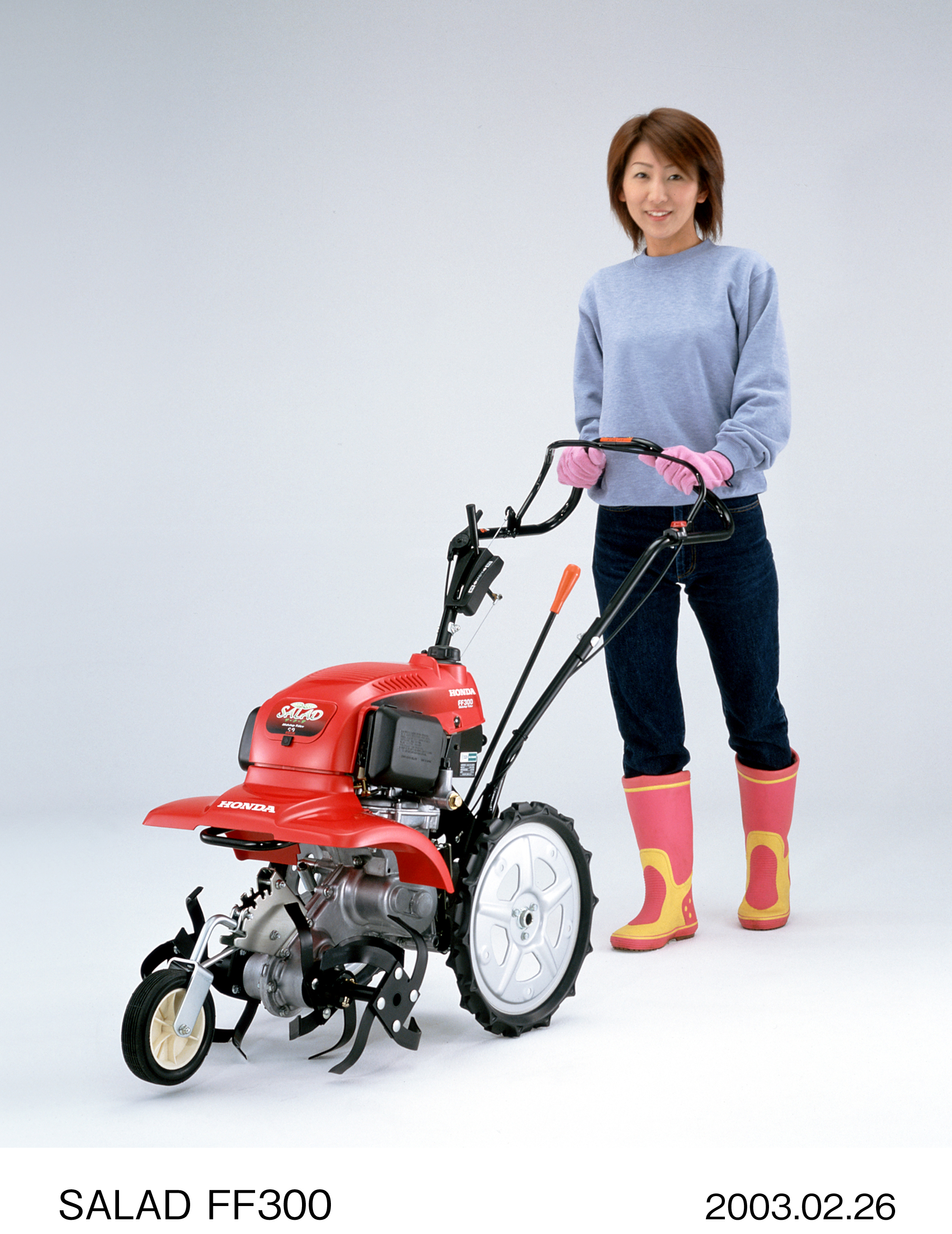 Image・Movie Download