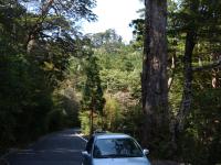 FCX with Honda FC STACK in Yakushima