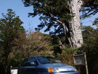 FCX with Honda FC STACK in Yakushima