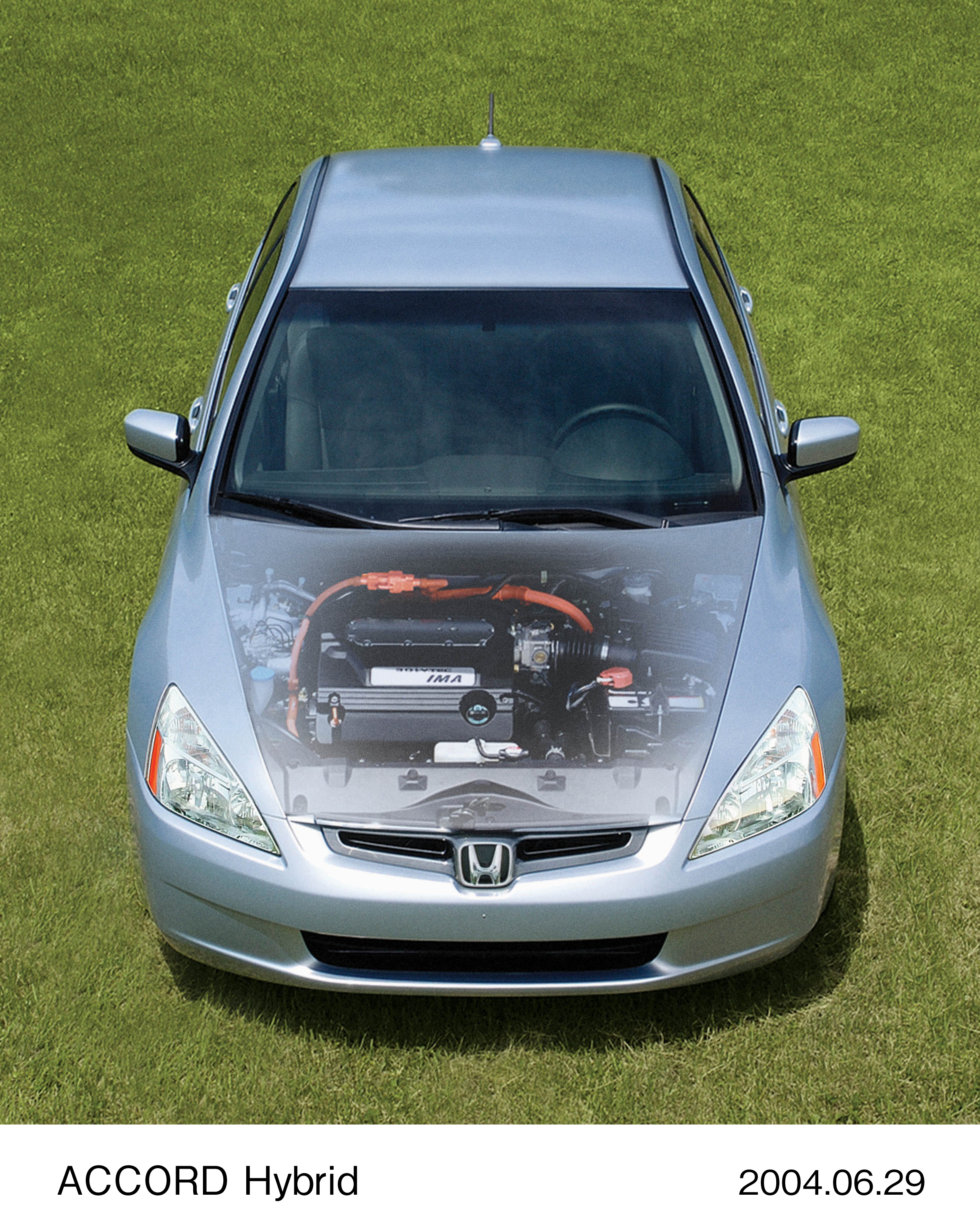 Image・Movie Download