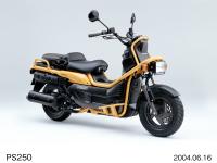 PS250