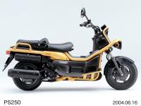 PS250