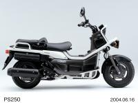 PS250