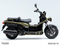 PS250