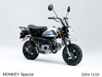 Special edition Monkey