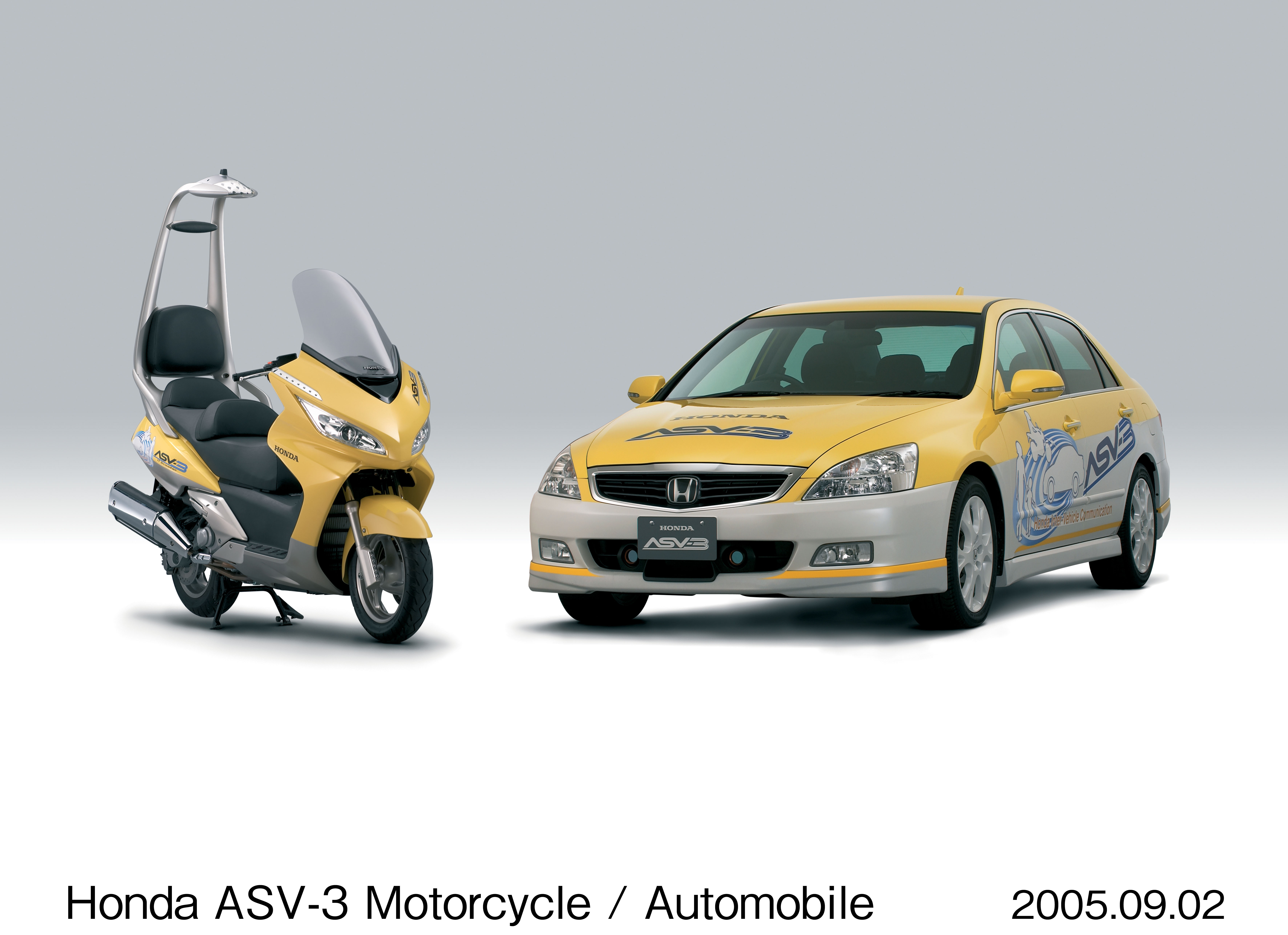 Image・Movie Download