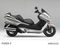 Forza Z Digital Silver Metallic