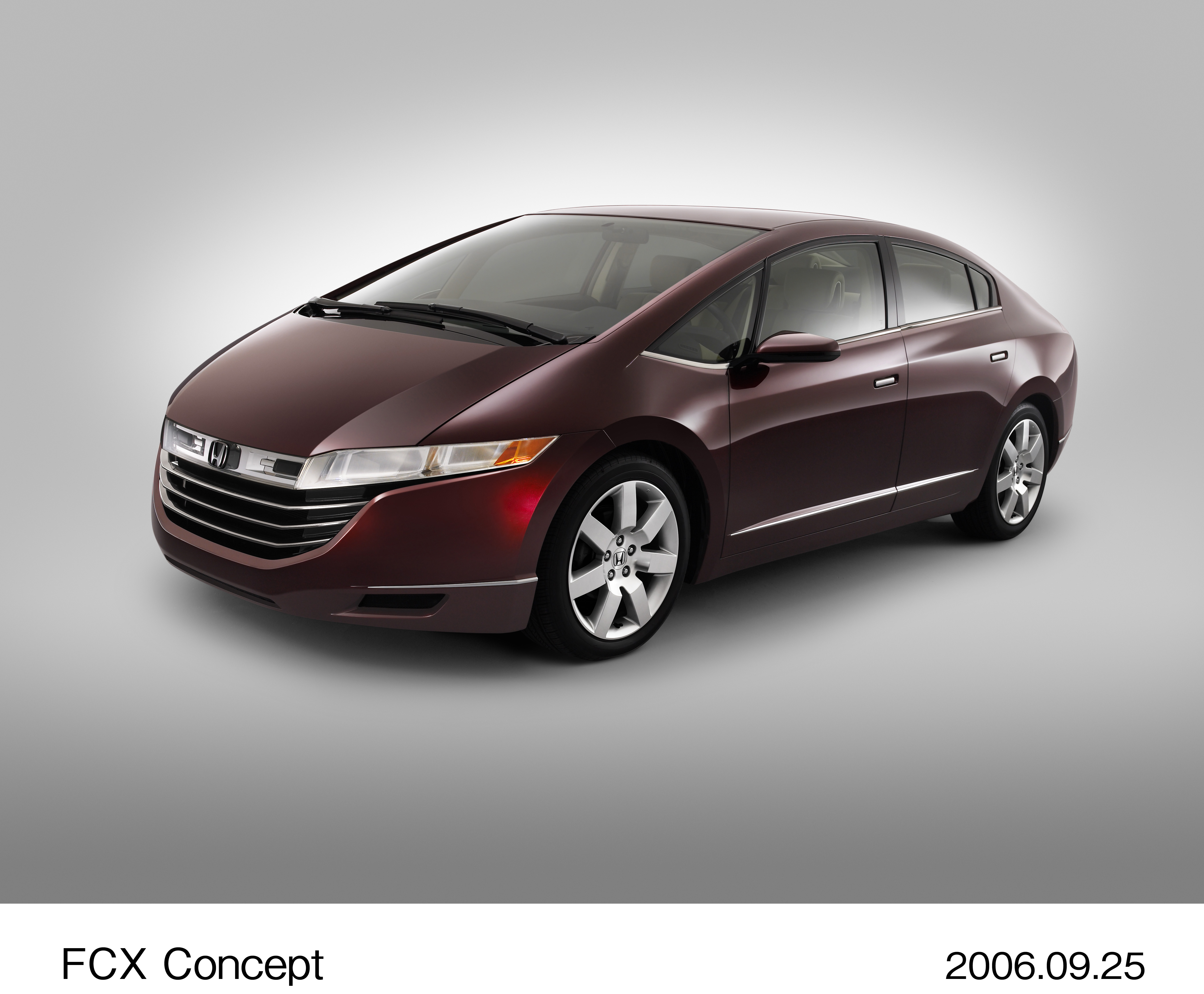 Image・Movie Download