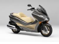 FORZA Z ABS (Titanium Metallic)