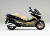 FORZA Z ABS (Graphite Black)