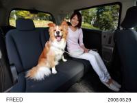 Second Row Bench Seat