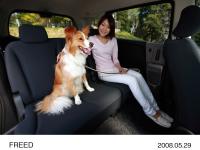 Second Row Bench Seat