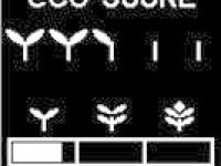 Multi-Information Display