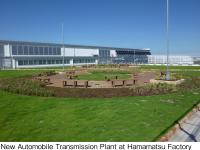 Rooftop Afforestation