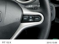 Cruise control button (15 X)