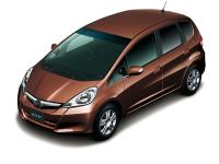 FIT 15 X (body color: Premium Deep Mocha Pearl)