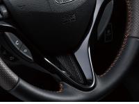 steering garnish (piano black paint)