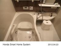 Bathroom (Presentation house)