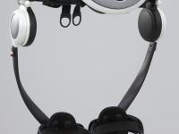 Stride Management Assist device