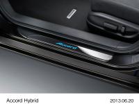 Side step garnish (front)