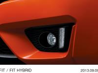 Fog lamp & LED position lamp