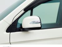 Door mirror decoration