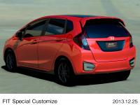 FIT Special Customize, rear styling