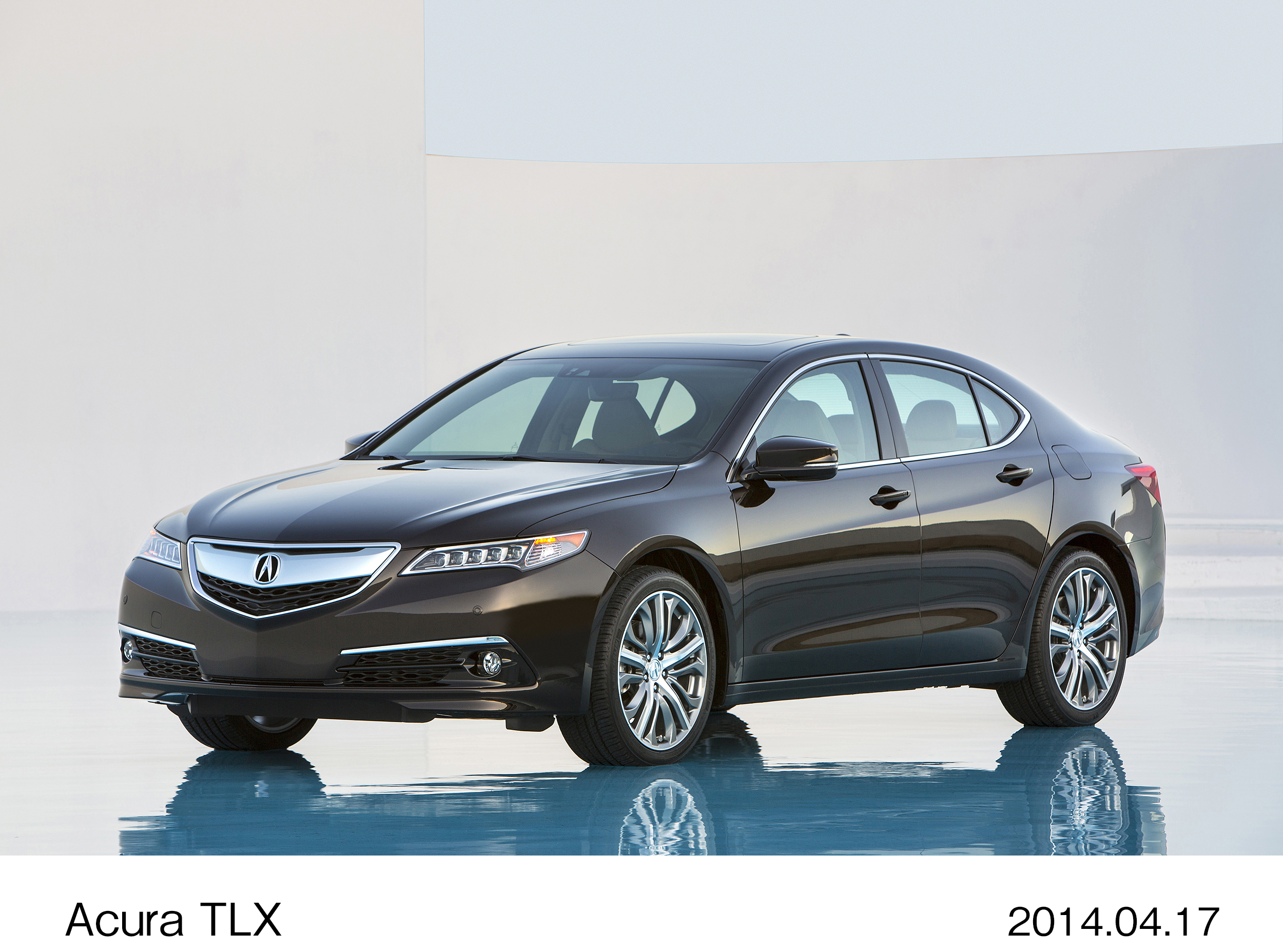 Image・Movie Download