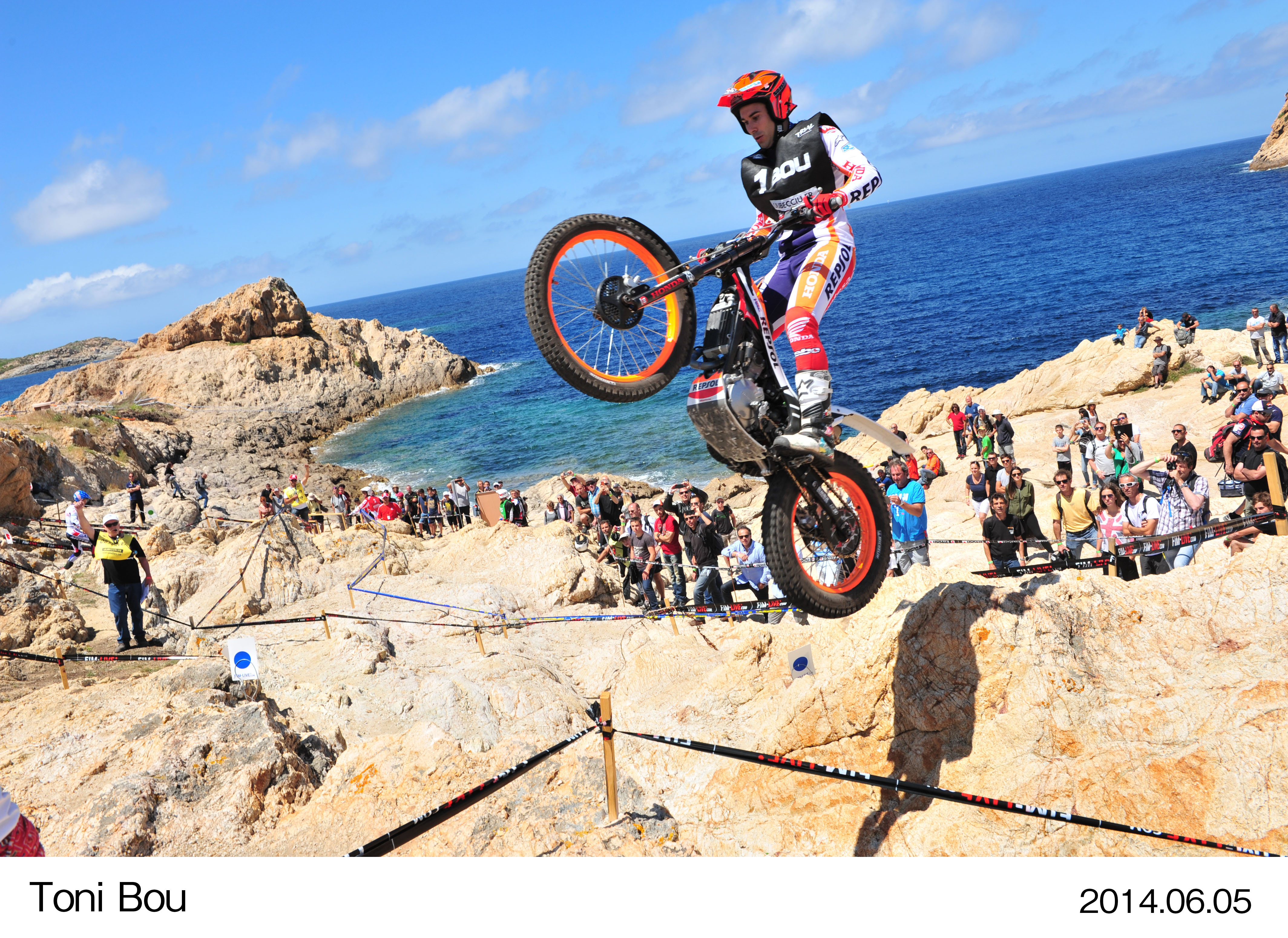 Image・Movie Download