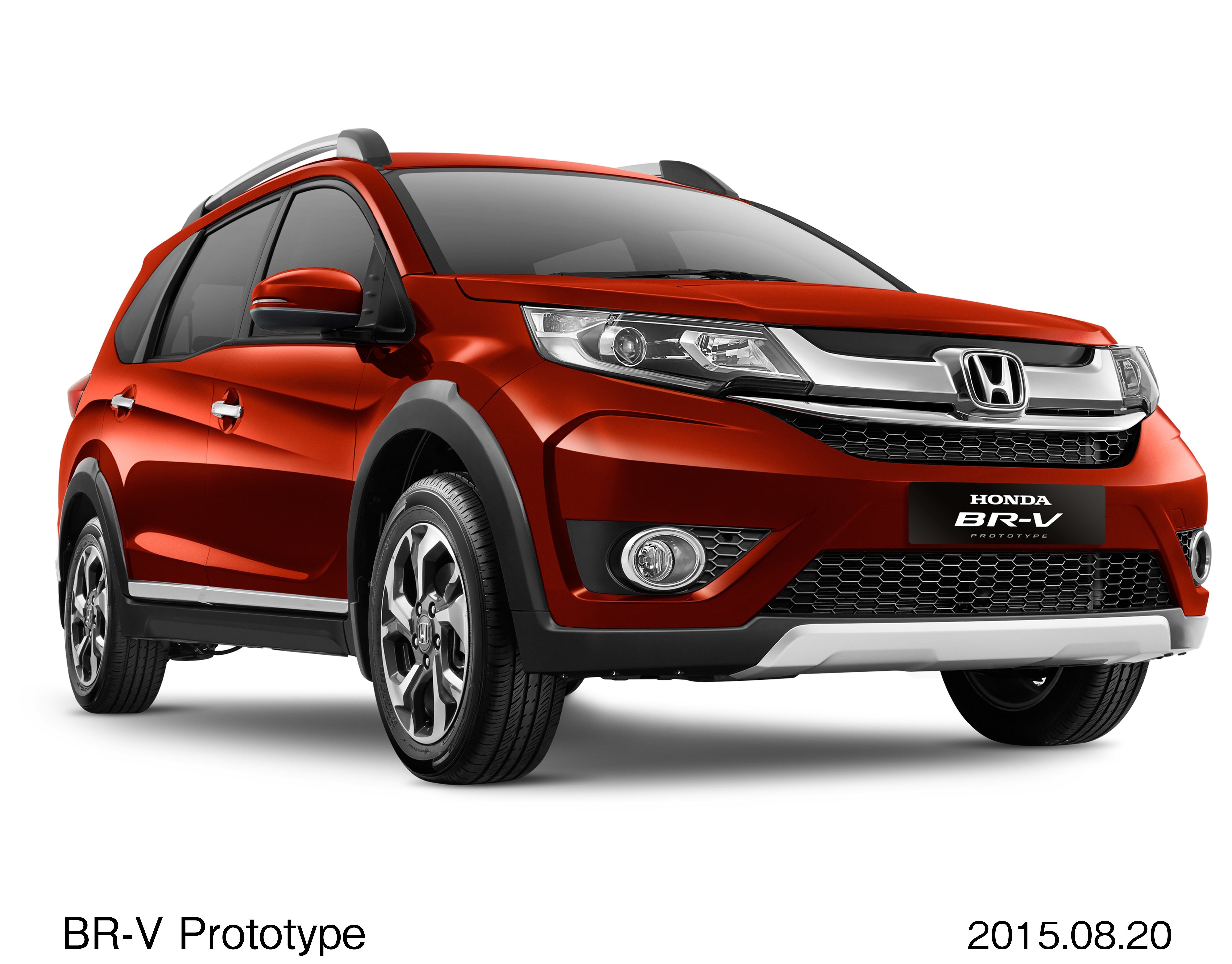 Image・Movie Download