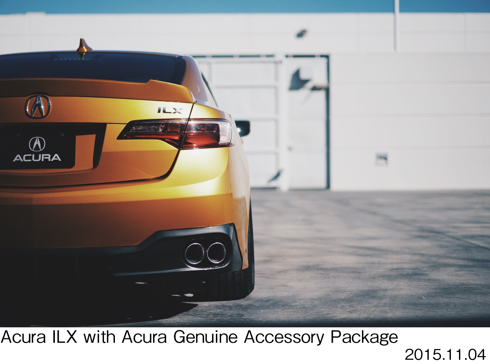 Image・Movie Download