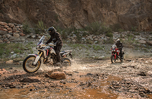 CRF1000L Africa Twin