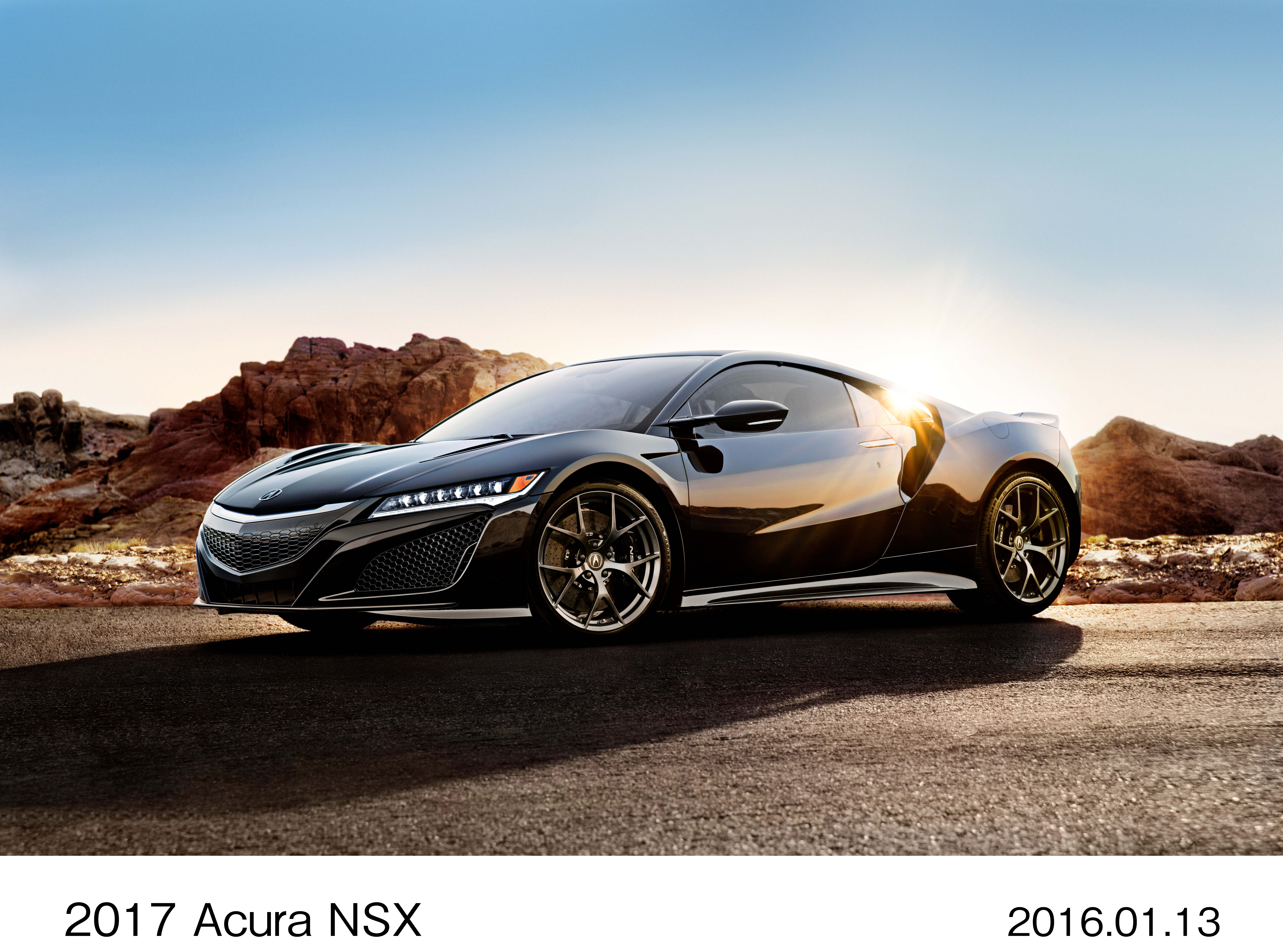 Image・Movie Download