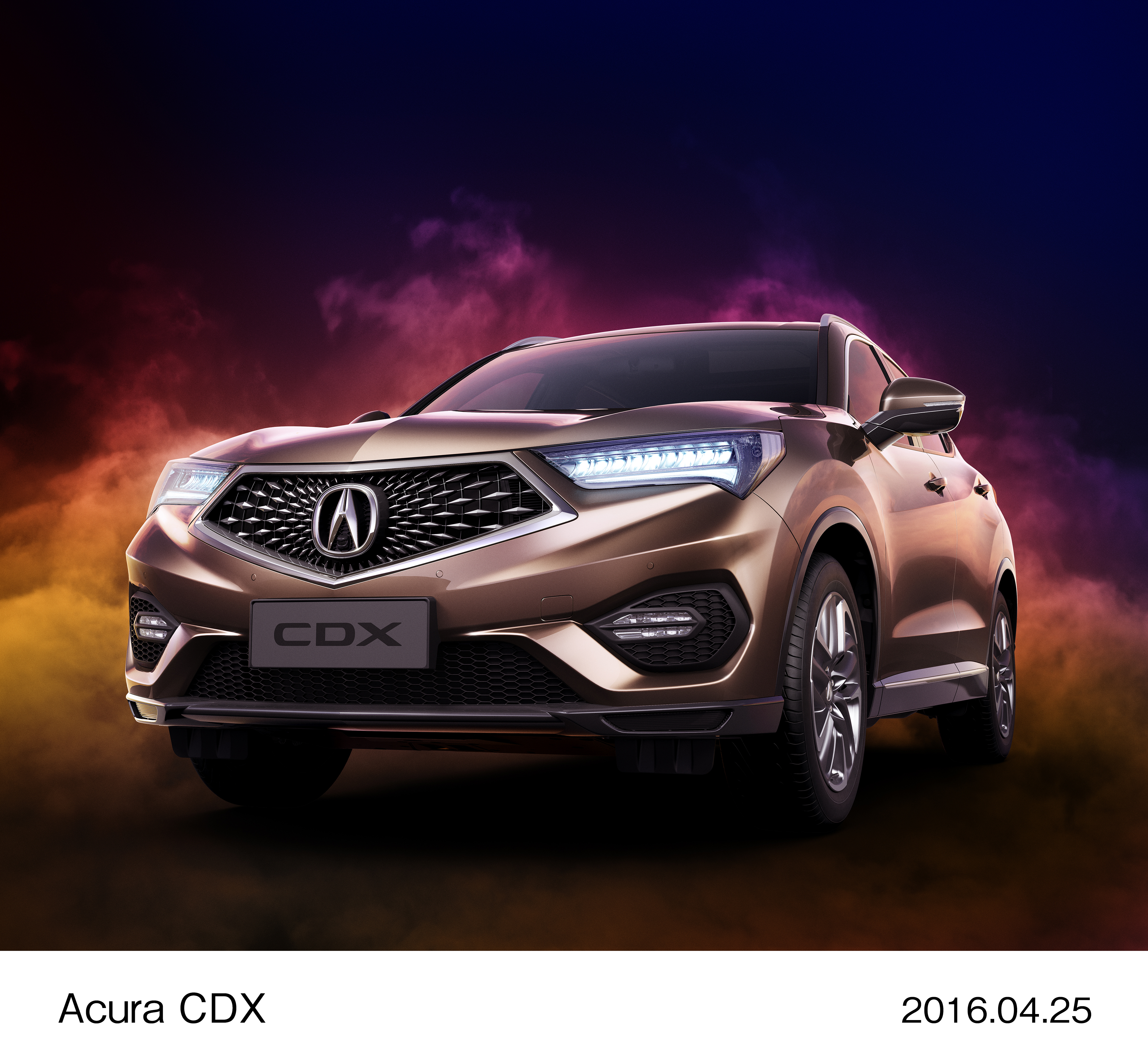 Image・Movie Download