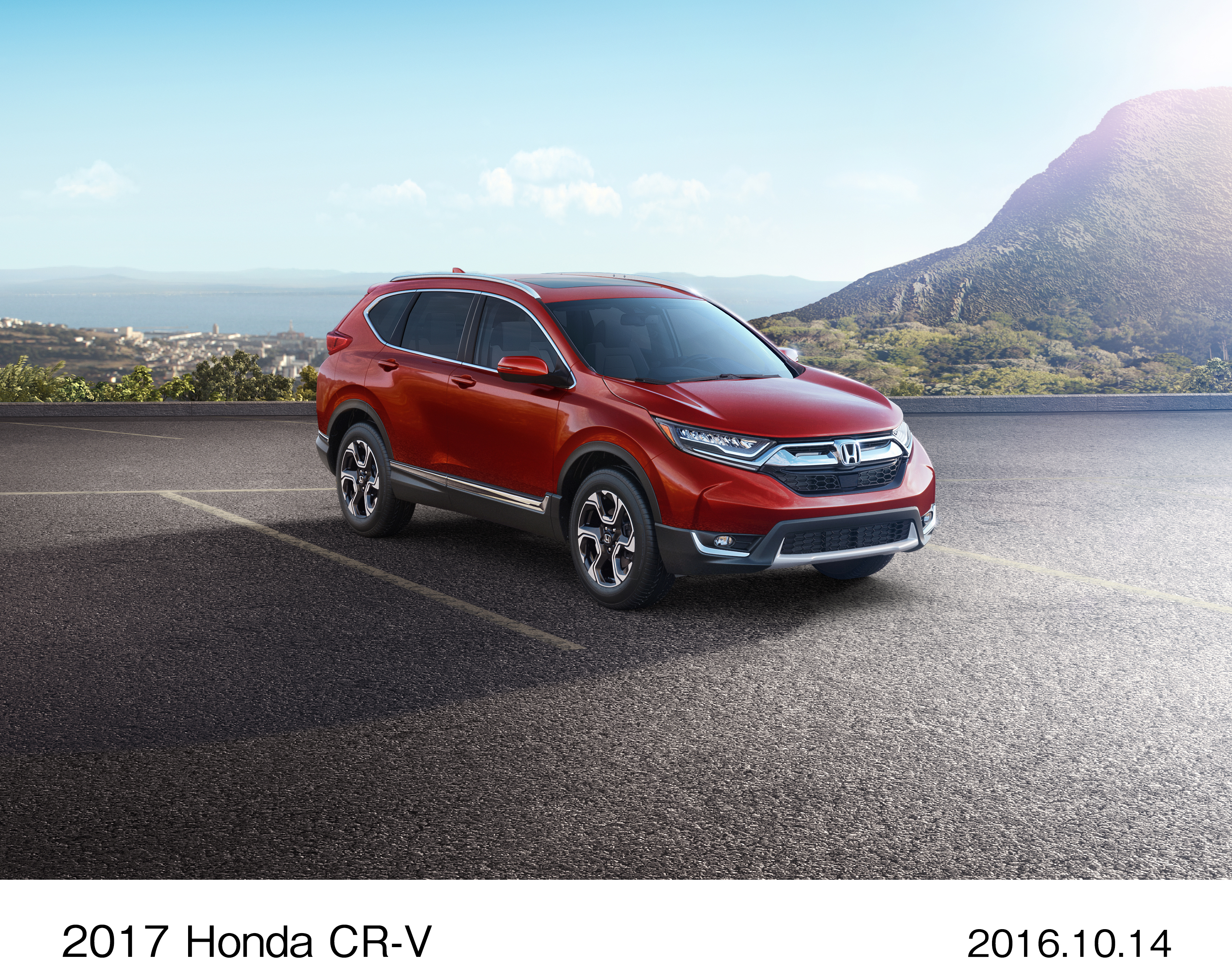 Image・Movie Download