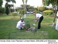 Mr. Hachigo's Planting Tree