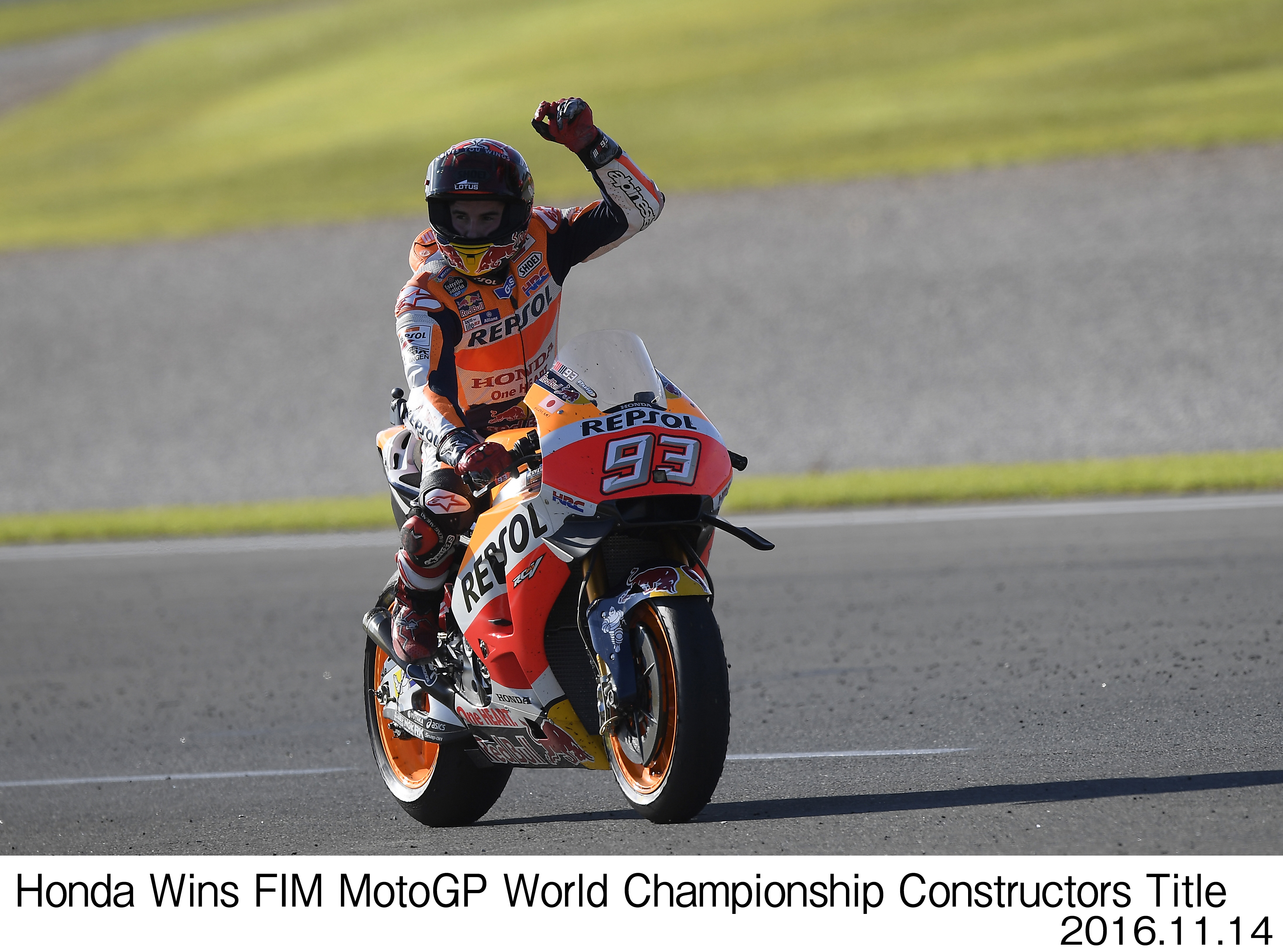 Image・Movie Download