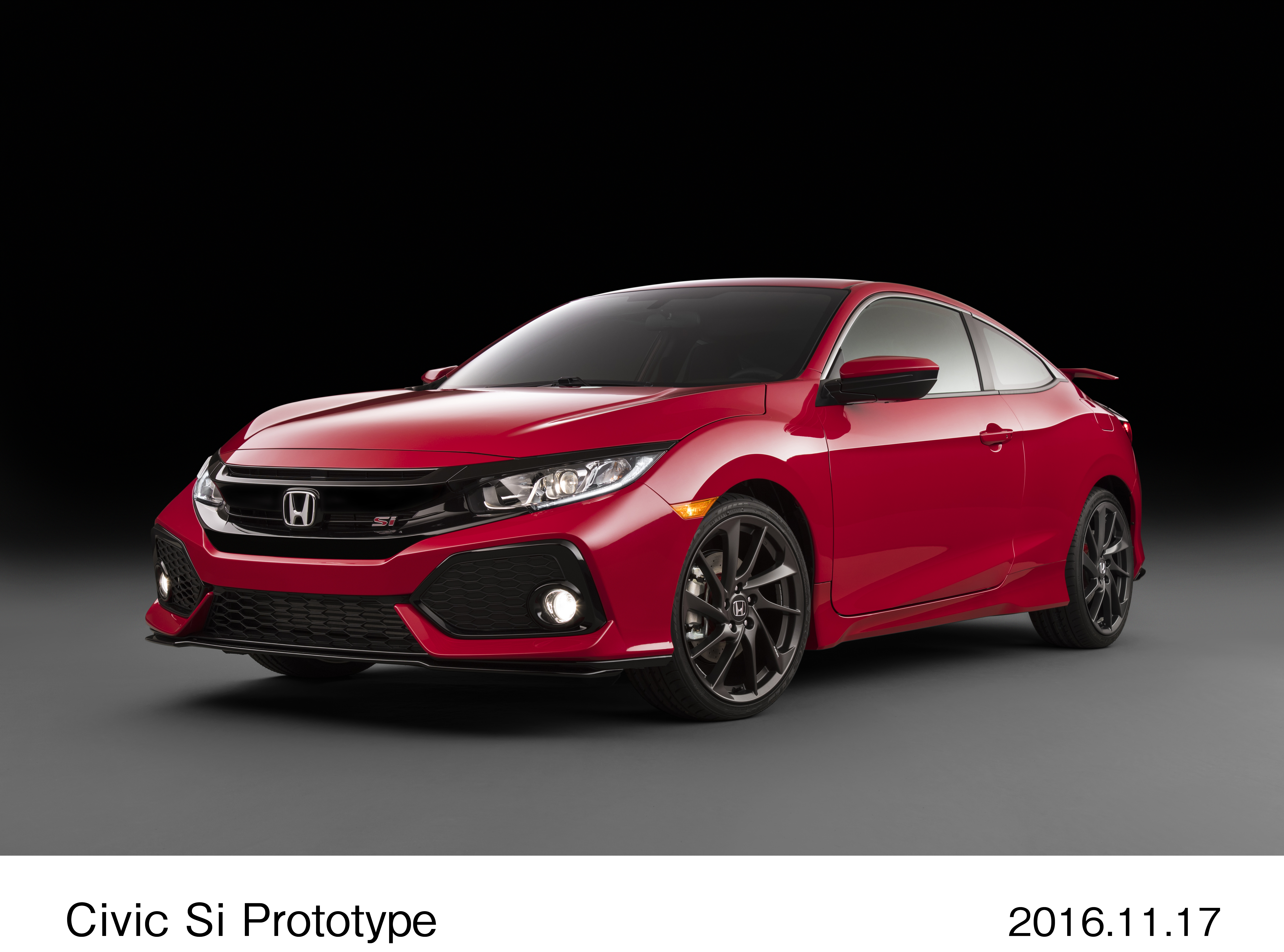 Image・Movie Download