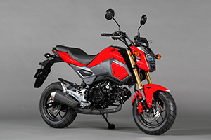 GROM (Model planned for production)