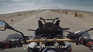 DCT Descriptive Video example